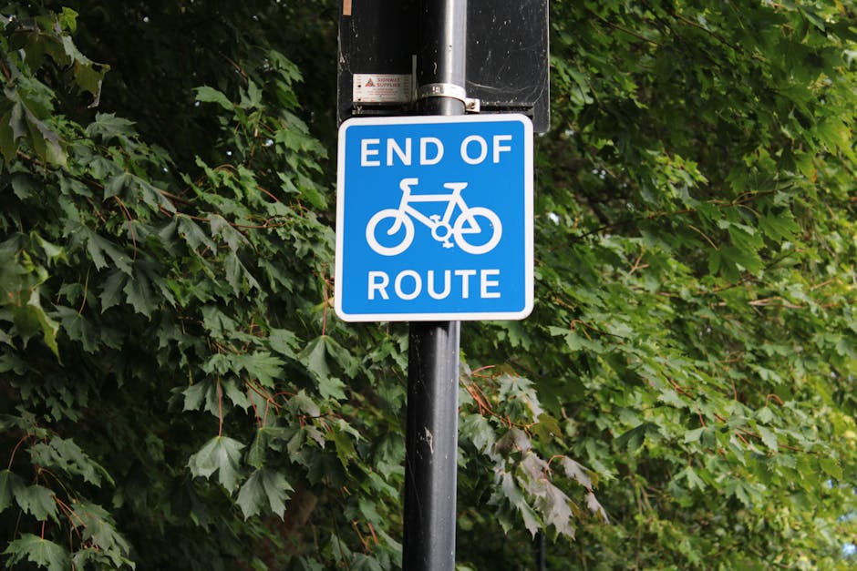 A close-up image of a blue rectangular traffic sign mounted on a metallic pole, indicating the end of a bicycle route. The sign features a white bicycle symbol in the center with the words 'END OF' ab