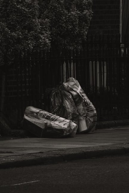 Common delays in Bethnal Green rubbish collection and fixes